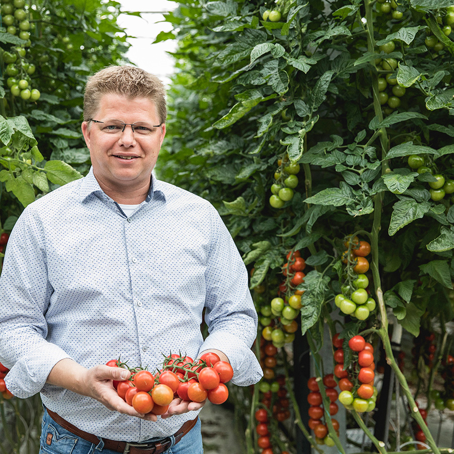 Theo van noord omslagfoto