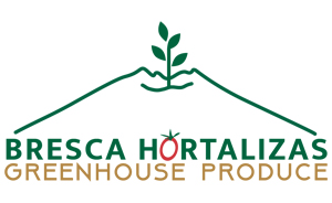logo-Bresca.jpg
