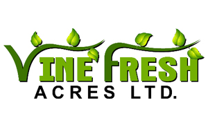 logo-vine-fresh_300_200px-4.jpg